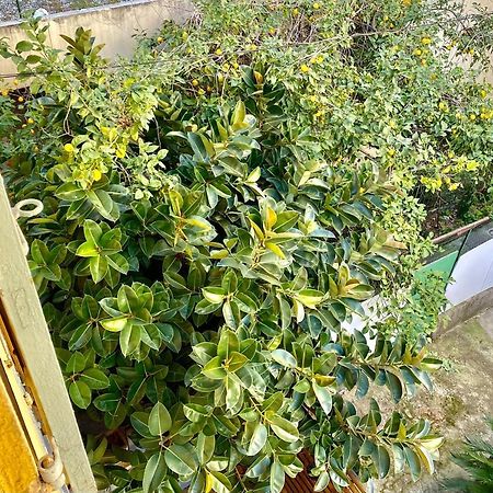 Lovely & Cozy Duplex Heart Of Nice With Bathtub! מראה חיצוני תמונה